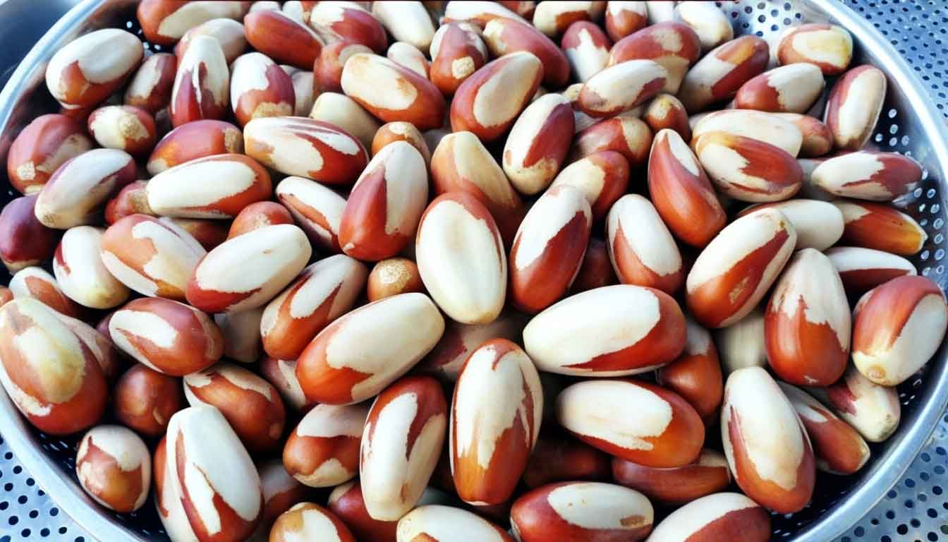 Jackfruit-Seeds
