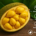 Jackfruit Nutrition Facts, Benefits, and How to Eat It Jackfruit Nutrition Facts, Benefits, and How to Eat It