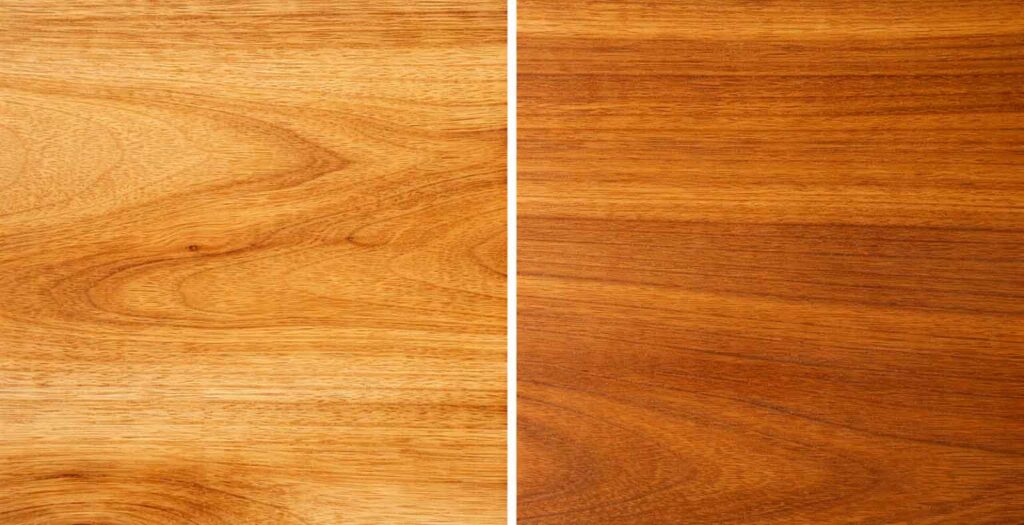 Jackfruit Wood vs Teak Comparison