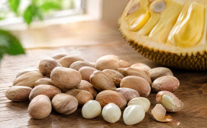 Jackfruit-seed How to Preserve Jackfruit Seeds in the US (Easy Step-by-Step Guide)